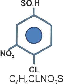 ortho-nitro-chloro-benzene-4-sulfonic-acid