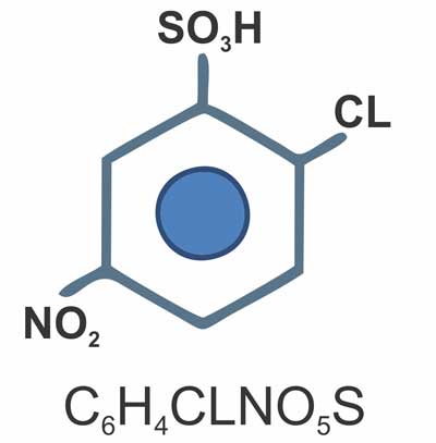 para-nitro-chloro-benzene-ortho-sulphonic-acid